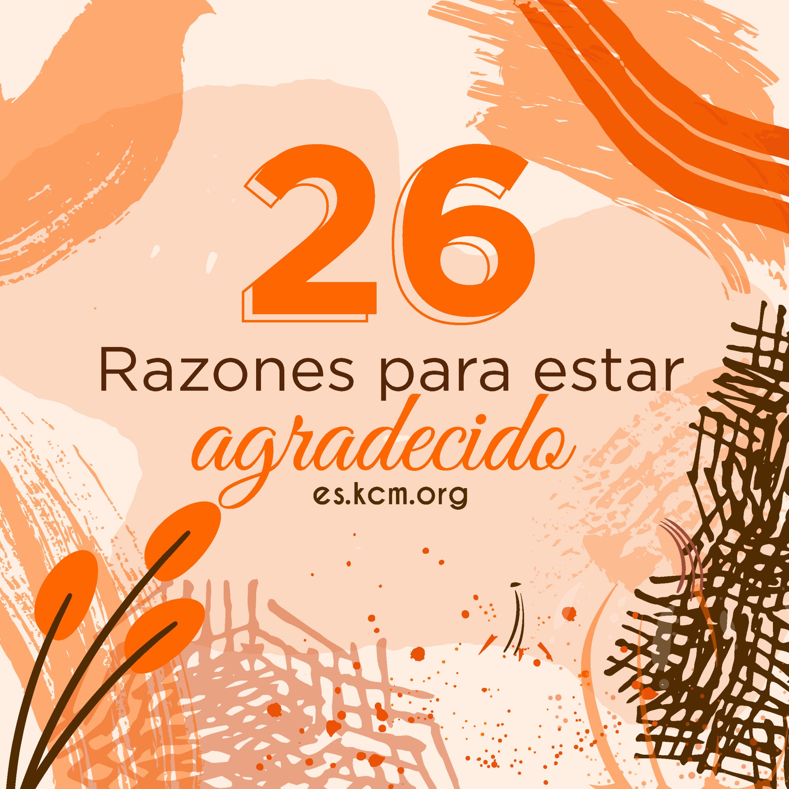 26 Razones para estar Agradecido