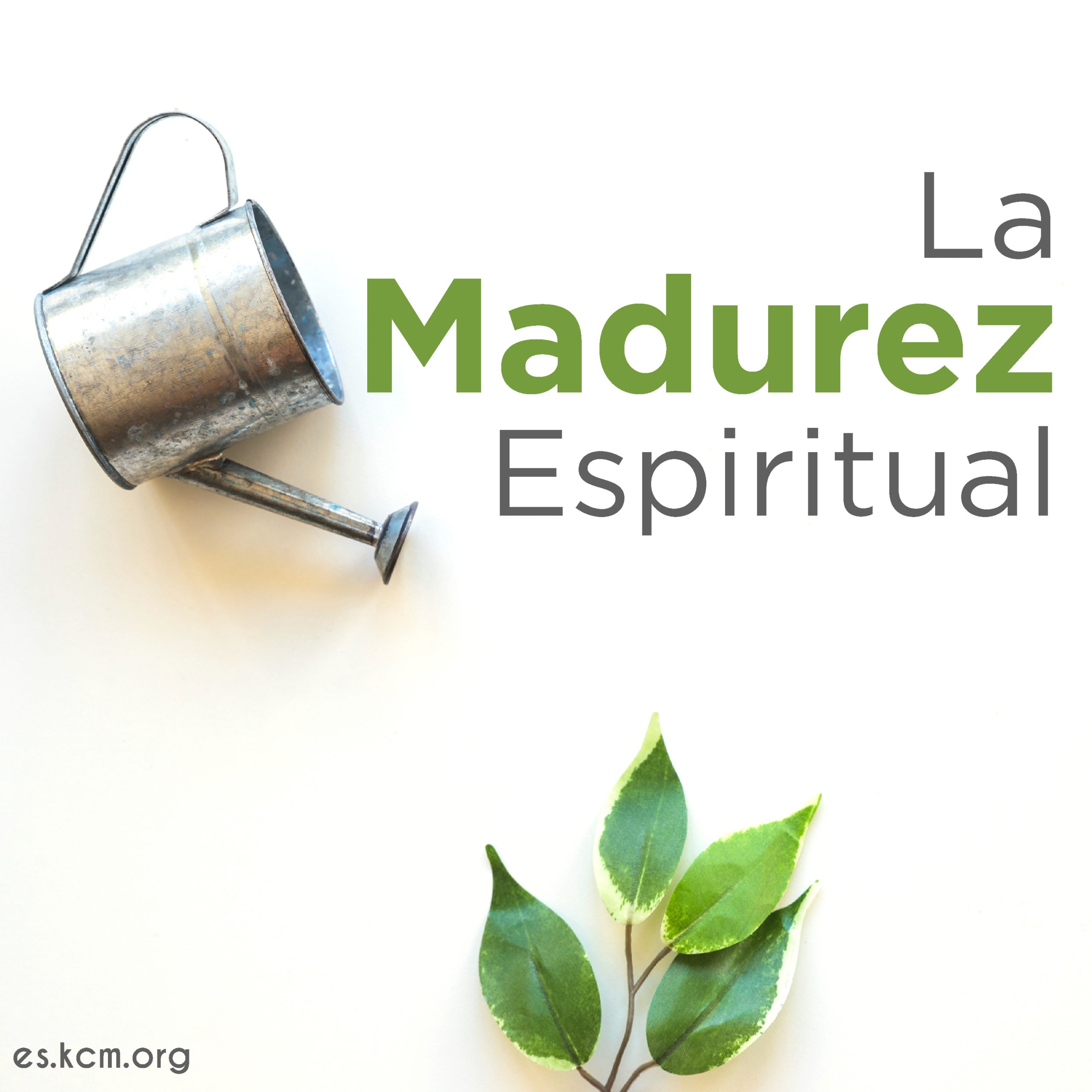 La Madurez Espiritual
