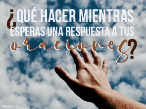 ¿Qué Hacer Mientras Esperas una Respuesta a tus Oraciones?